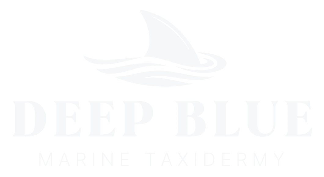 Deep Blue Marine Taxidermy