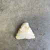 White Shark tooth #81