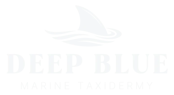 DSMTSecondaryaryLogo